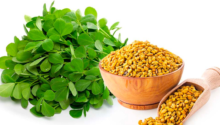 Fenugreek