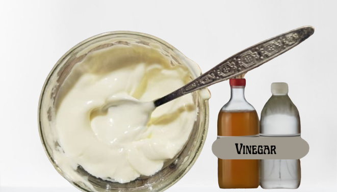 Mayonnaise and Vinegar Mask