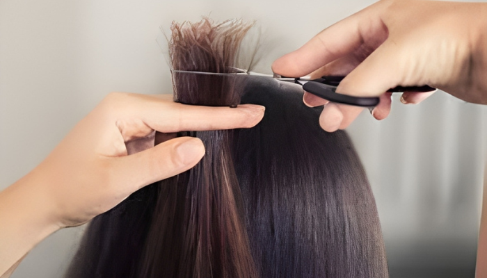 Trim the Damage
