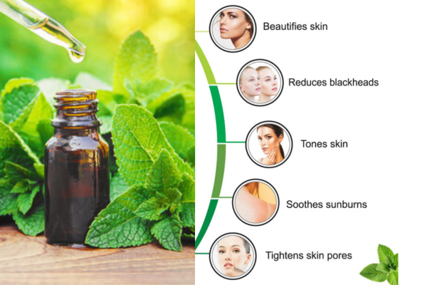 Peppermint Oil