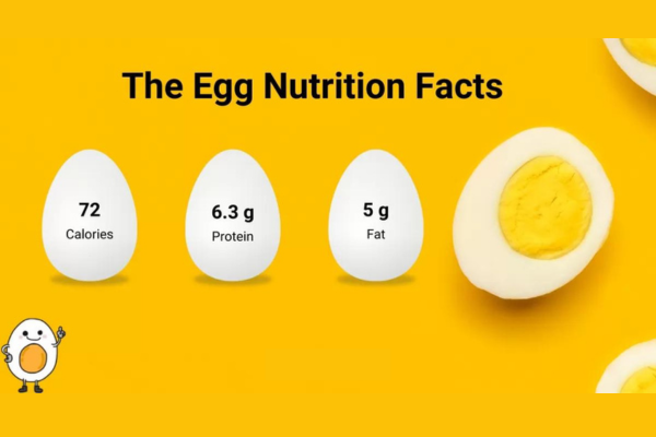 eggs